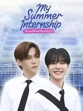 我的夏日实习